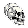 (2 Pack) Gothic Skull Magnets - Macabre Skeleton Head Art - Edgy Dark Academia Decor - Halloween Horror Collectibles - Unique Fridge Magnets - 5" - Thick Durable Magnet - Made in USA - MAG39656