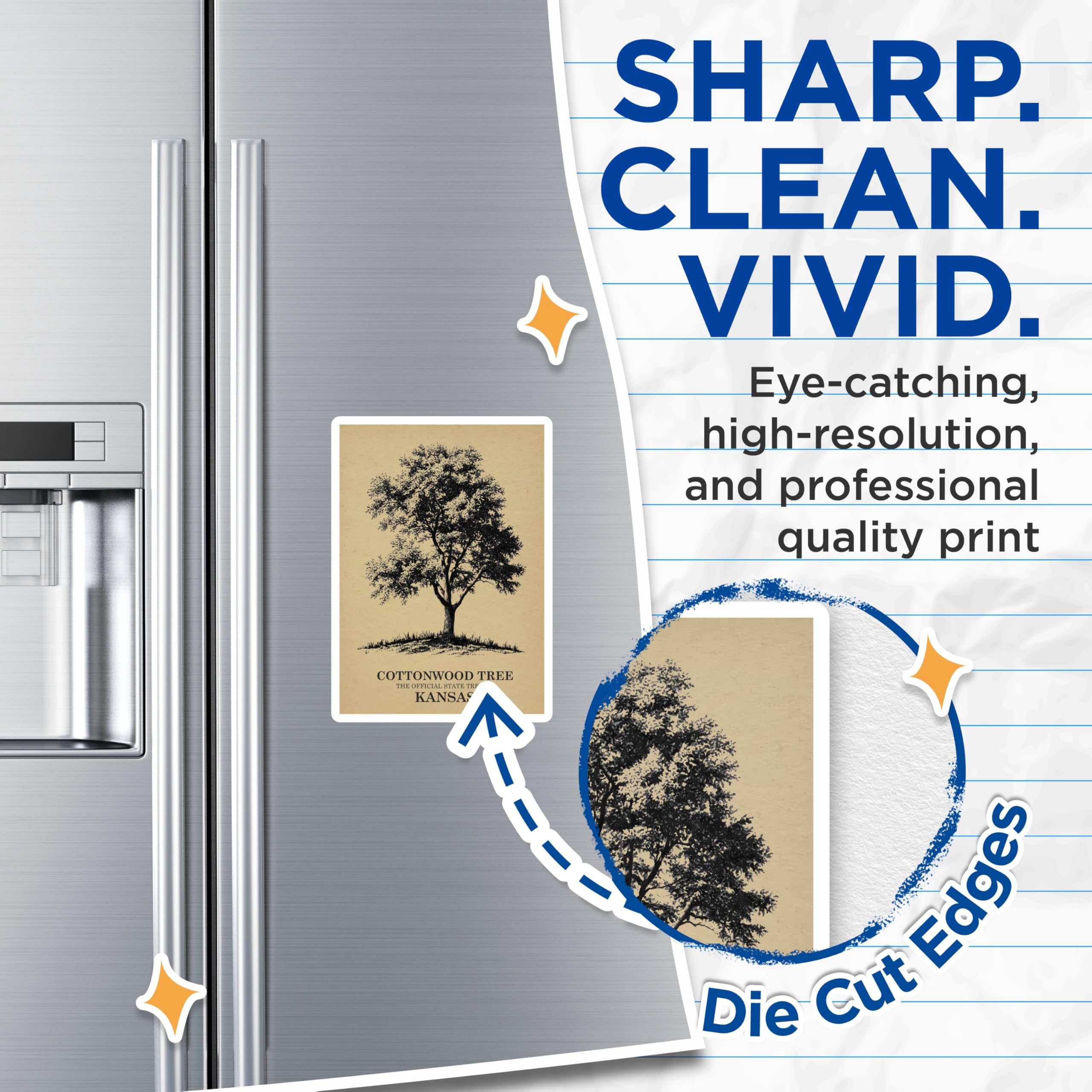 (2 Pack) Kansas Magnets - Cottonwood Tree - State Tree Magnets - 5" On Longest Side - Premium Magnet - for Cars, Refrigerators, Toolboxes, Lockers - Made in USA - MAG18590