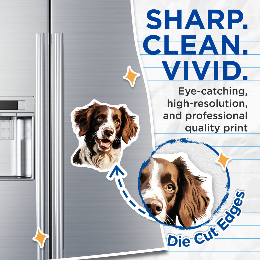 (2 Pack) Springer Spaniel Dog Magnets - Smiling Dog Head Art - Pet Owner Fridge Decor - Animal Lover Accessory - 5 Inches On Longest Side - Thick Durable Magnet - Made in USA - MAG37493
