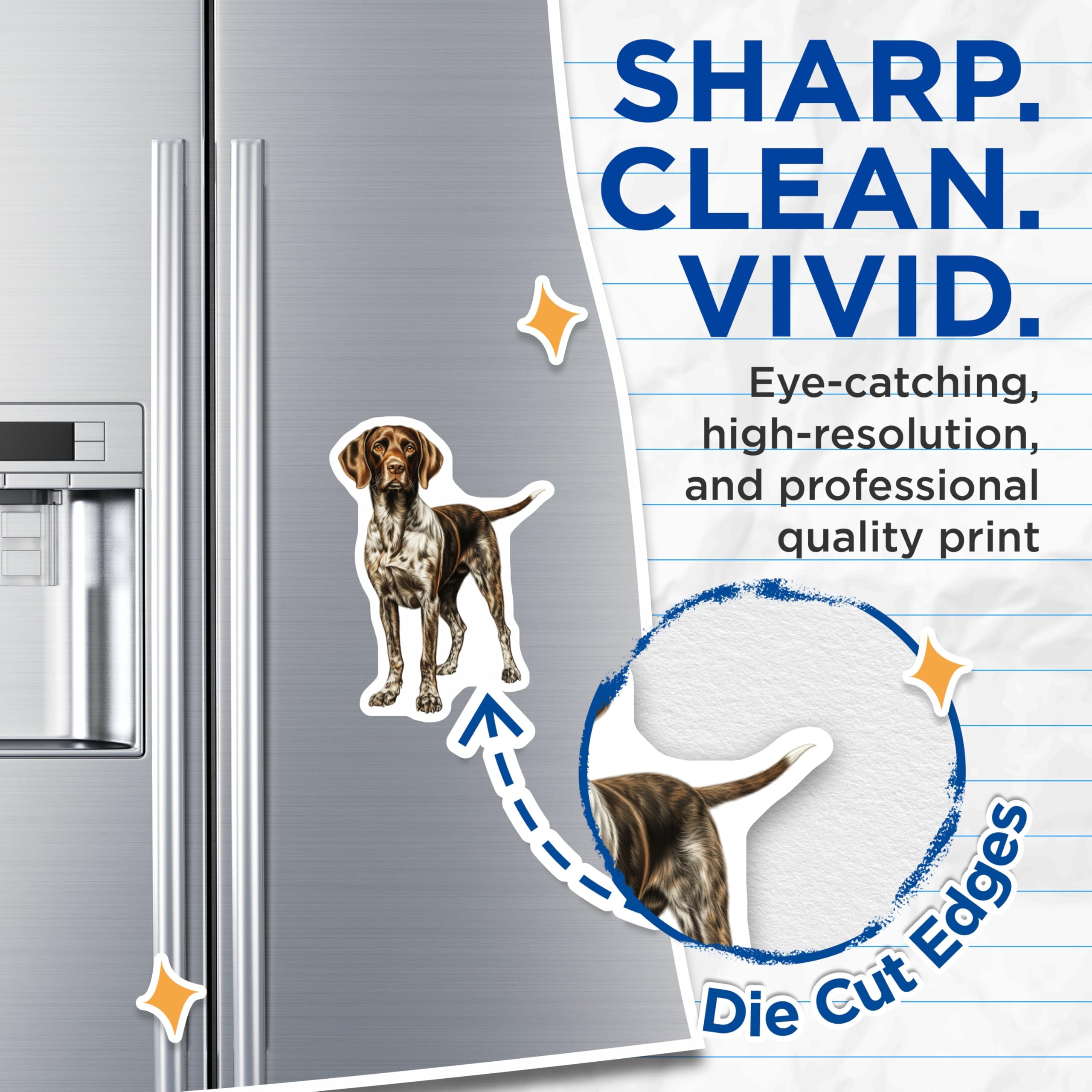 (2 Pack) German Shorthaired Pointer Magnets - Hunting Dog Decor - Dog Breed Art for Owners - 5 Inches On Longest Side - Thick Durable Magnet - Made in USA - MAG30064