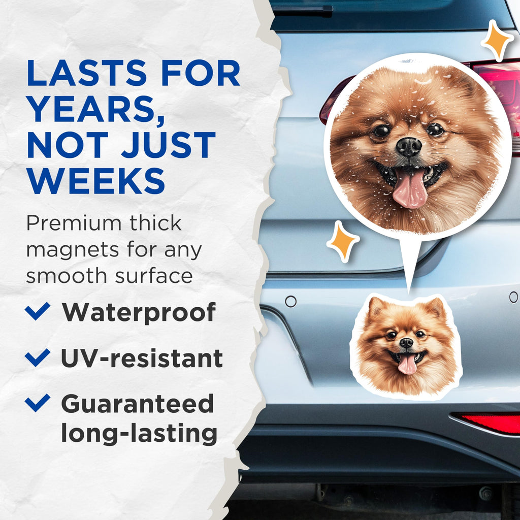 (2 Pack) Pomeranian Dog Magnets - Happy Smiling Fluffy Puppy - Pet Lover Refrigerator Locker Decor - 5 Inches On Longest Side - Thick Durable Magnet - Made in USA - MAG24178