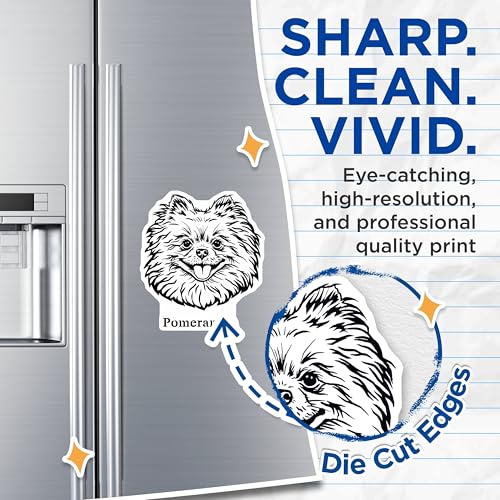 (2 Pack) Pomeranian Dog Magnets - Cute Pet Magnets - Animal Lover Magnets - 5" On Longest Side - for Cars, Fridges, Toolboxes - Made in USA - MAG4027
