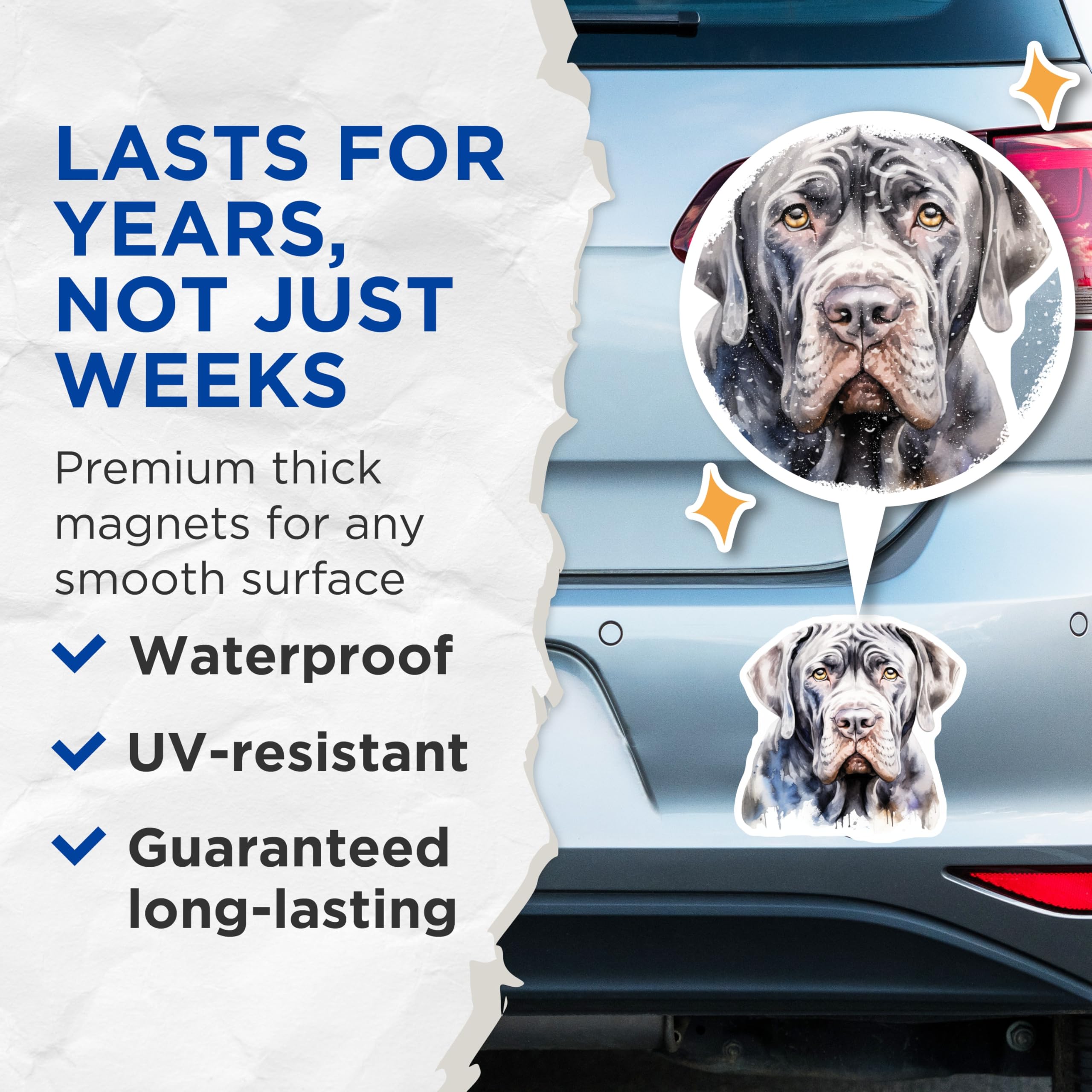 (2 Pack) Neapolitan Mastiff Magnets - Watercolor Dog Art - Animal Lover Fridge Decor - Pet Parent Present - 5 Inches On Longest Side - Thick Durable Magnet - Made in USA - MAG26908