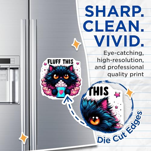 (2 Pack) Fluff This Cat Magnets - 5" On Longest Side - for Cars, Fridges, Toolboxes - Made in USA - MAG4591