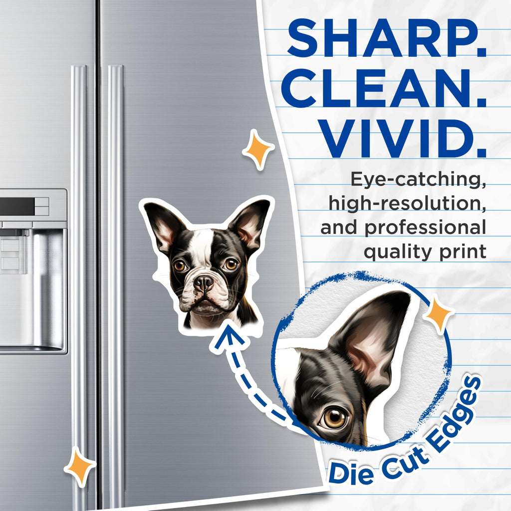 (2 Pack) Boston Terrier Magnets - Dog Breed Art - Pet Owner Appreciation - Animal Lover Decor - Cute Dog Fridge Magnet - 5 Inches On Longest Side - Thick Durable Magnet - Made in USA - MAG28628