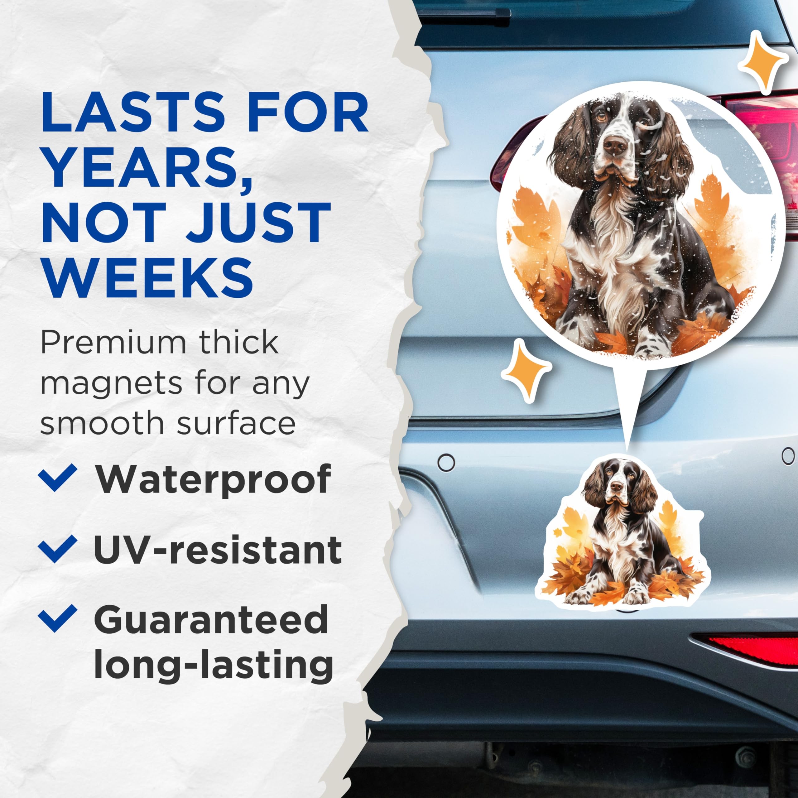 (2 Pack) Springer Spaniel Dog Magnets - Autumn Leaves Decor - Pet Lover Home Accessory - Fall Kitchen Fridge Art - 5 Inches On Longest Side - Thick Durable Magnet - Made in USA - MAG28088
