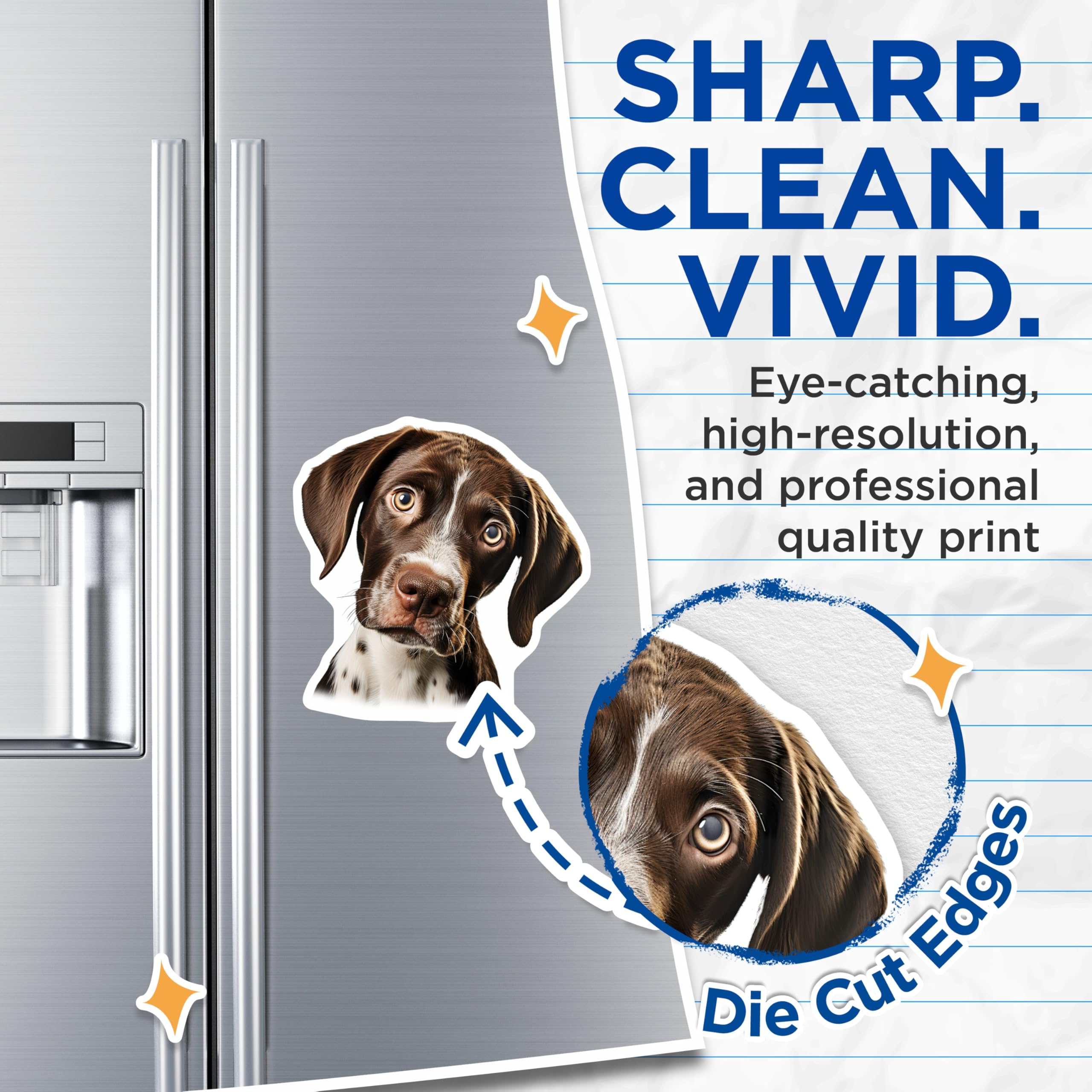 (2 Pack) Curious Puppy Magnets - Brown White Pointer Dog - Head Tilt Adorable Pet Decor - Kitchen Fridge Office - 5 Inches On Longest Side - Thick Durable Magnet - Made in USA - MAG24980