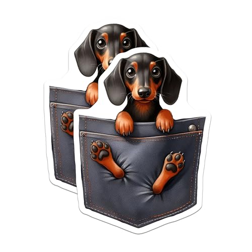 (2 Pack) Dachshund Pocket Puppy Stickers - Cute Dog Stickers - Adorable Pet Stickers for Laptop and Water Bottle - 5" On Longest Side - Sticks to Smooth Flat Surfaces - Made in USA - BMCS3971