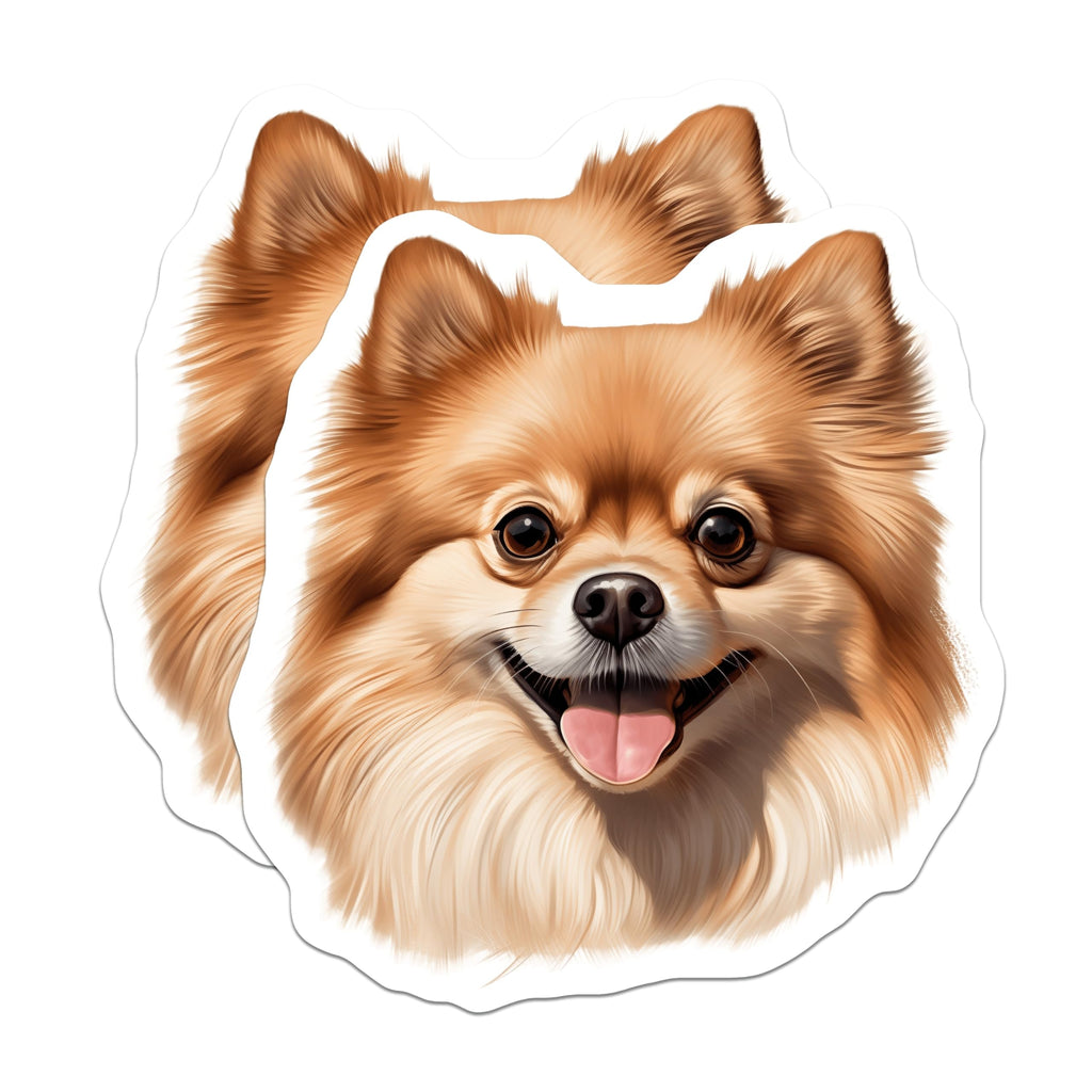 (2 Pack) Smiling Pomeranian Dog Magnets - Cute Fluffy Pet Lover Decor - Dog Mom Puppy Fridge Accessories - 5 Inches On Longest Side - Thick Durable Magnet - Made in USA - MAG25988