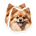 (2 Pack) Smiling Pomeranian Dog Magnets - Cute Fluffy Pet Lover Decor - Dog Mom Puppy Fridge Accessories - 5 Inches On Longest Side - Thick Durable Magnet - Made in USA - MAG25988