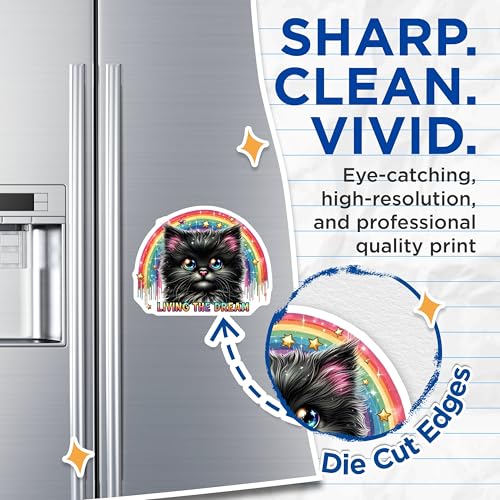 (2 Pack) Cute Cat Magnets - Rainbow Star Design Magnet - Living The Dream Magnet - 5" On Longest Side - for Cars, Fridges, Toolboxes - Made in USA - MAG4593