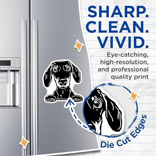 (2 Pack) Dachshund Dog Magnets - Cute Dog Lover - Fun Animal Accessories for Home and Kitchen - 5" On Longest Side - for Cars, Fridges, Toolboxes - Made in USA - MAG4048