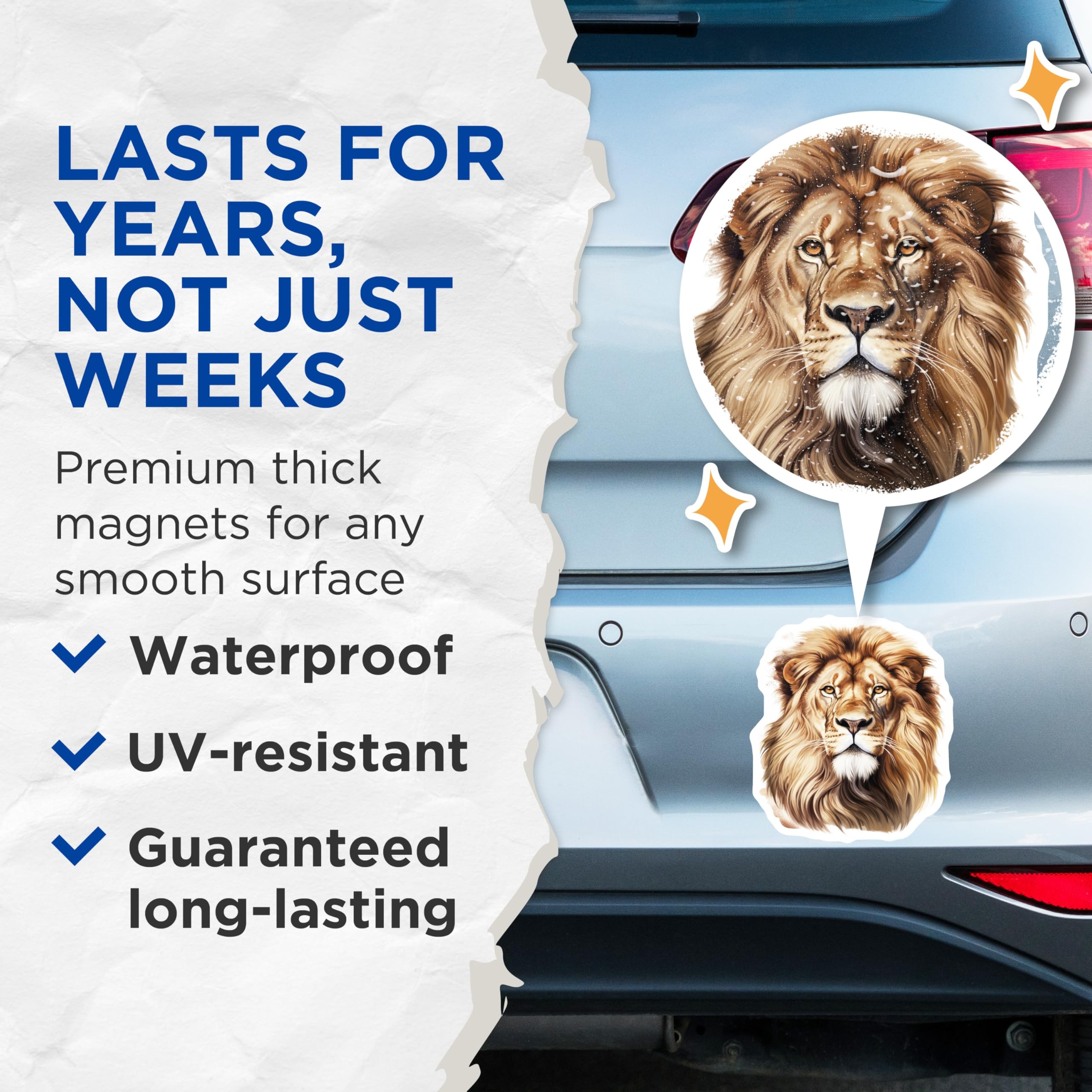(2 Pack) Lion Magnets - Majestic Animal Decor - Refrigerator Magnets Home Decor - 5" On Longest Side - Premium Magnet - for Cars, Refrigerators, Toolboxes, Lockers - Made in USA - MAG14896