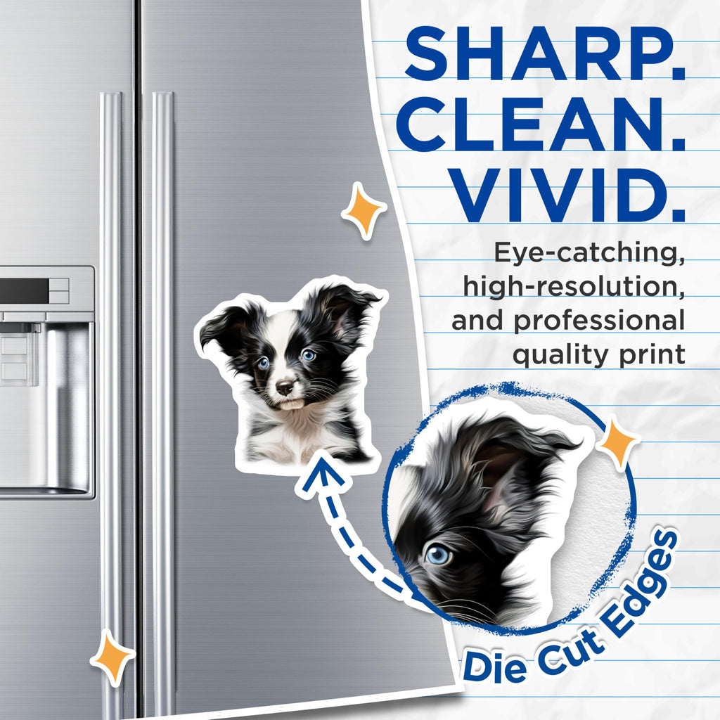 (2 Pack) Border Collie Puppy Magnets - Blue Eyed Dog Mom - Cute Pet Lover Decor - 5 Inches On Longest Side - Thick Durable Magnet - Made in USA - MAG30331