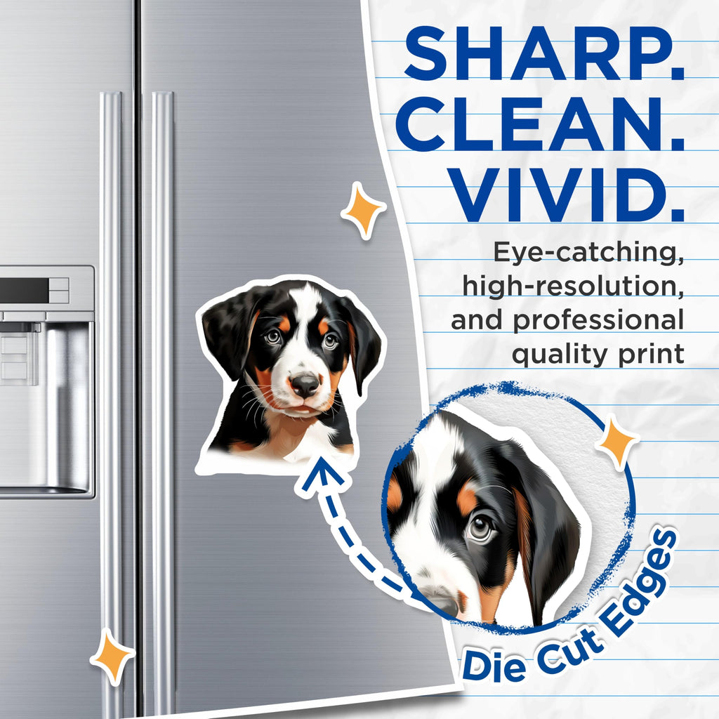 (2 Pack) Bernese Mountain Dog Puppy Magnets - Adorable Pet Lover Home Decor - Cute Dog Breed Refrigerator Art - 5 Inches On Longest Side - Thick Durable Magnet - Made in USA - MAG23923