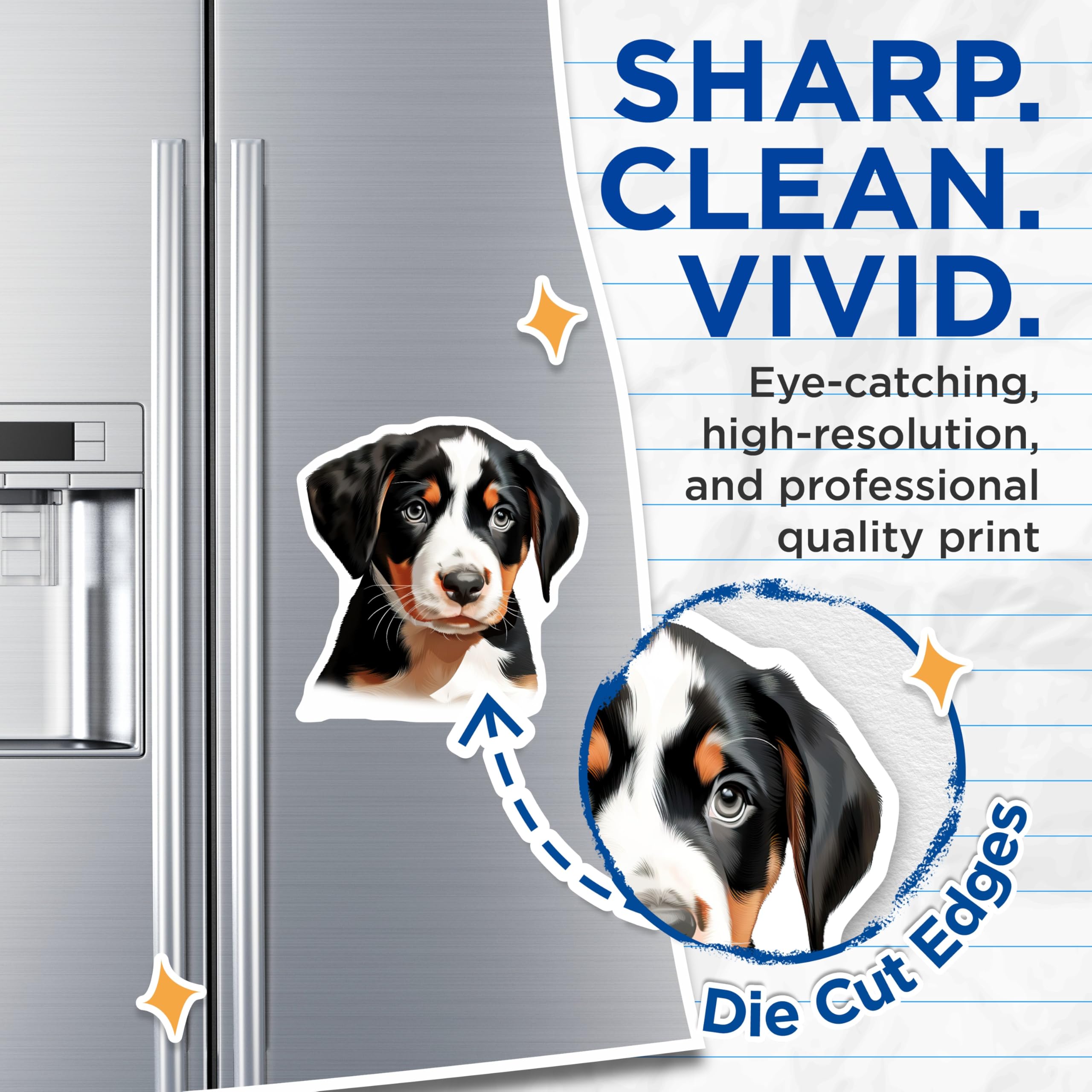 (2 Pack) Bernese Mountain Dog Puppy Magnets - Adorable Pet Lover Home Decor - Cute Dog Breed Refrigerator Art - 5 Inches On Longest Side - Thick Durable Magnet - Made in USA - MAG23923