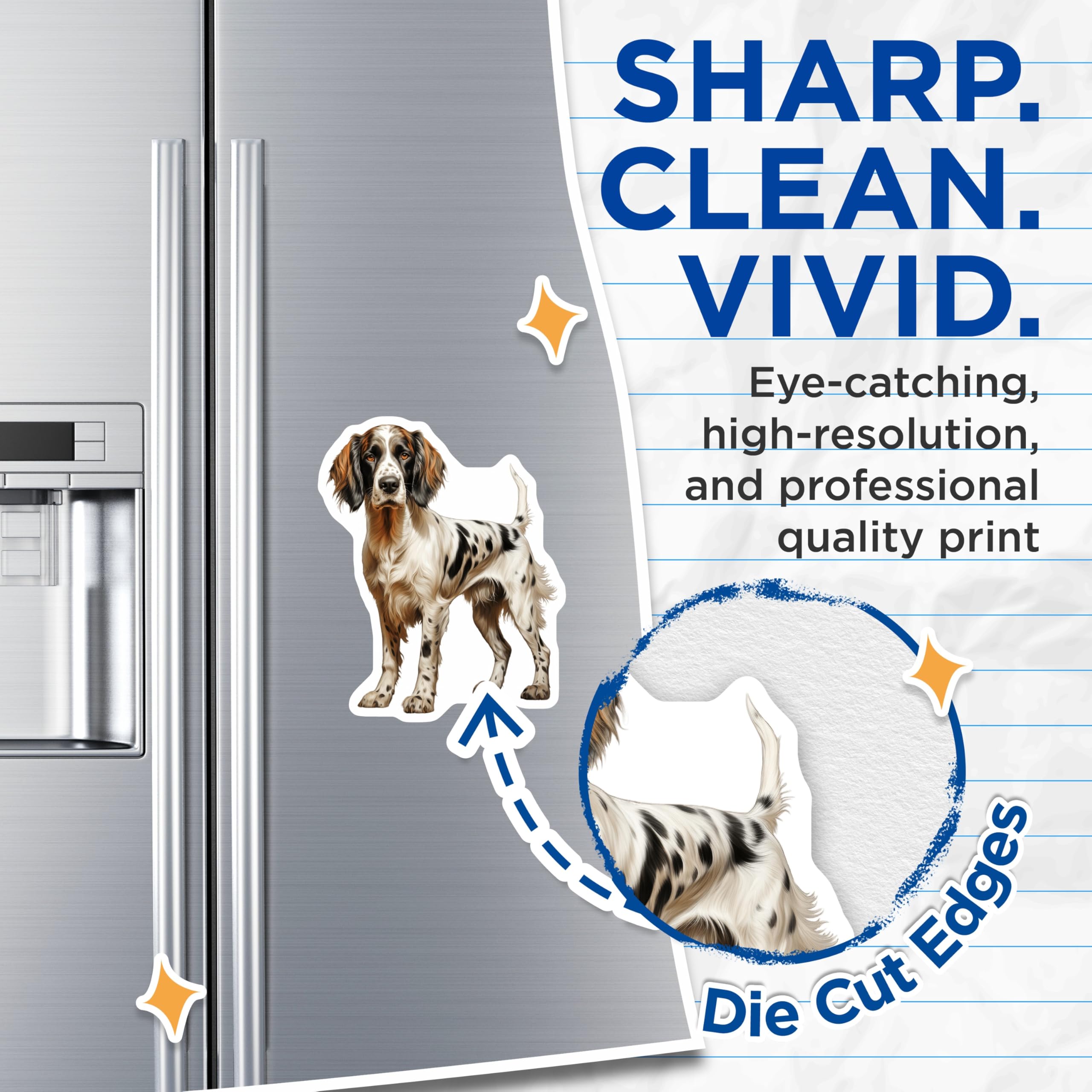 (2 Pack) English Setter Dog Magnets - Realistic Pet Art - Hunting Dog Breed Decor - 5 Inches On Longest Side - Thick Durable Magnet - Made in USA - MAG27295