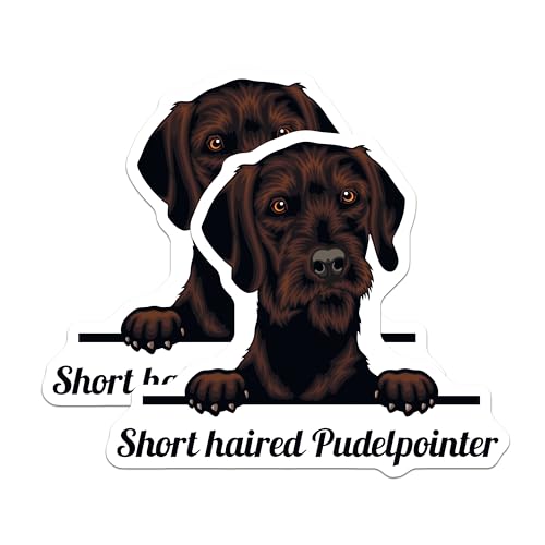 (2 Pack) Short Haired Pudelpointer Magnets - Dog Lover - Cute Pet Fridge Magnets - 5" On Longest Side - for Cars, Fridges, Toolboxes - Made in USA - MAG4228