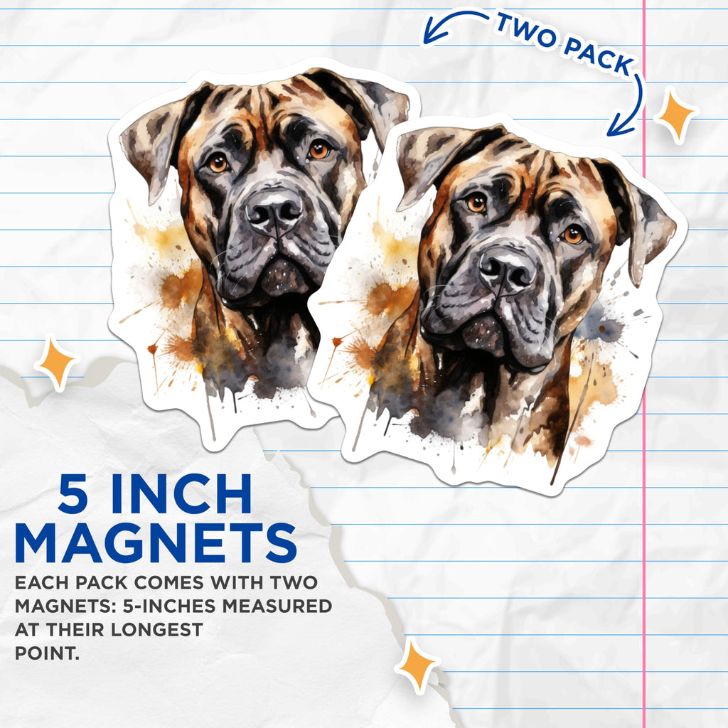(2 Pack) Brindle Mastiff Magnets - Watercolor Dog Art - Cane Corso Bullmastiff Owner Accent - 5 Inches On Longest Side - Thick Durable Magnet - Made in USA - MAG29107
