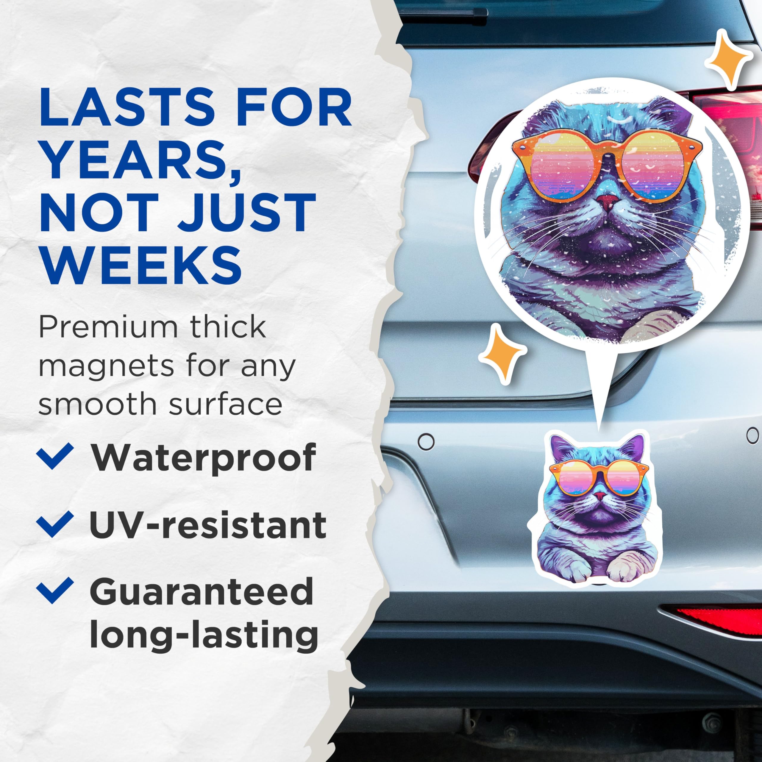 (2 Pack) Cool Cat Magnets - Cat Lover Magnets - Fun Cat Magnets for Fridge Decor - 5" On Longest Side - for Cars, Refrigerators, Toolboxes, Lockers - Made in USA MAG3578
