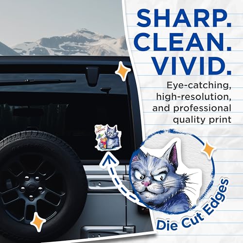 (2 Pack) Funny Cat Stickers - 5" On Longest Side - Sticks to Smooth Flat Surfaces - Made in USA - BMCS8560 - BMCS8560