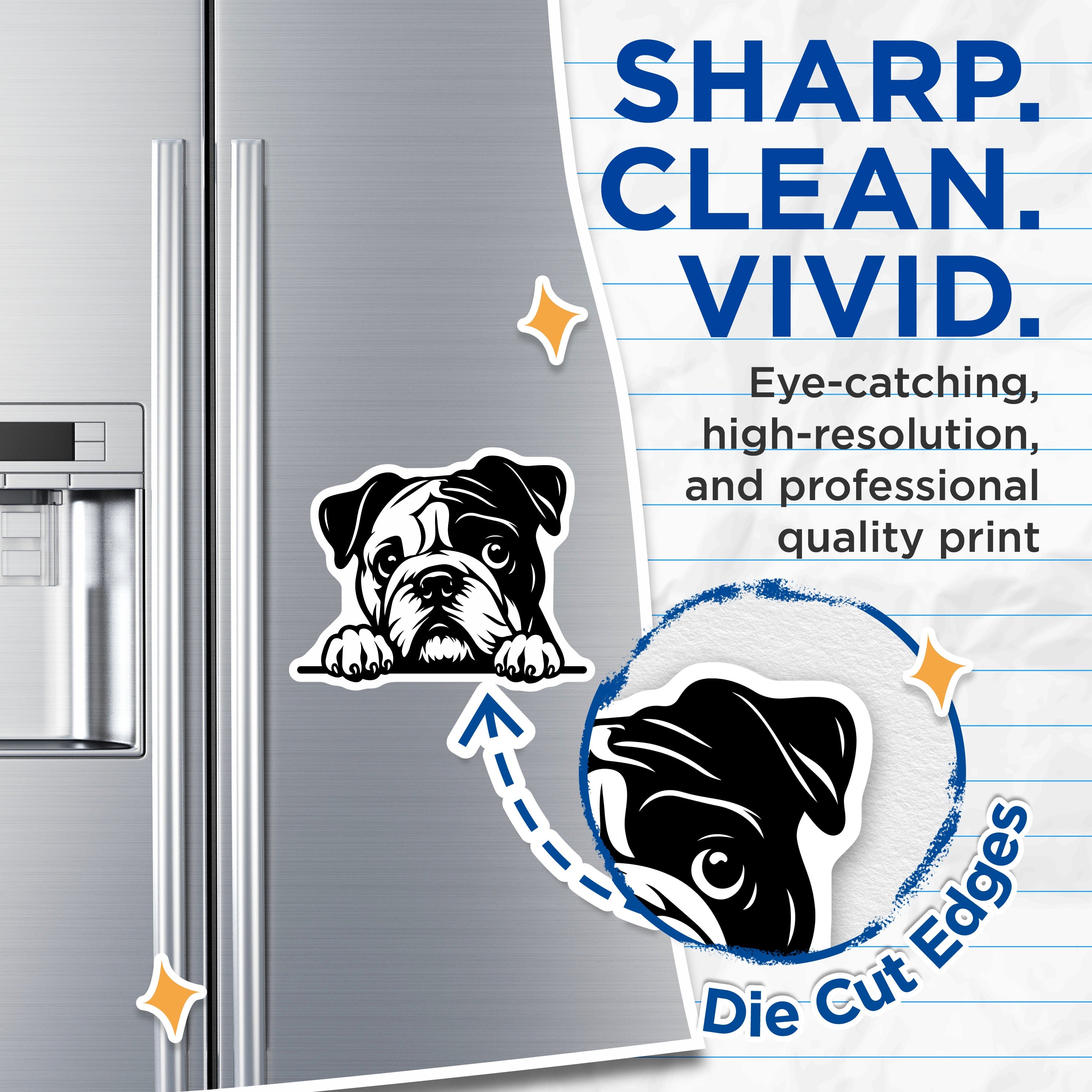(2 Pack) Bulldog Magnets - Dog Lover Refrigerator Decor - English Bulldog Art - Pet Owner Accessory - 5 Inches On Longest Side - Thick Durable Magnet - Made in USA - MAG38623