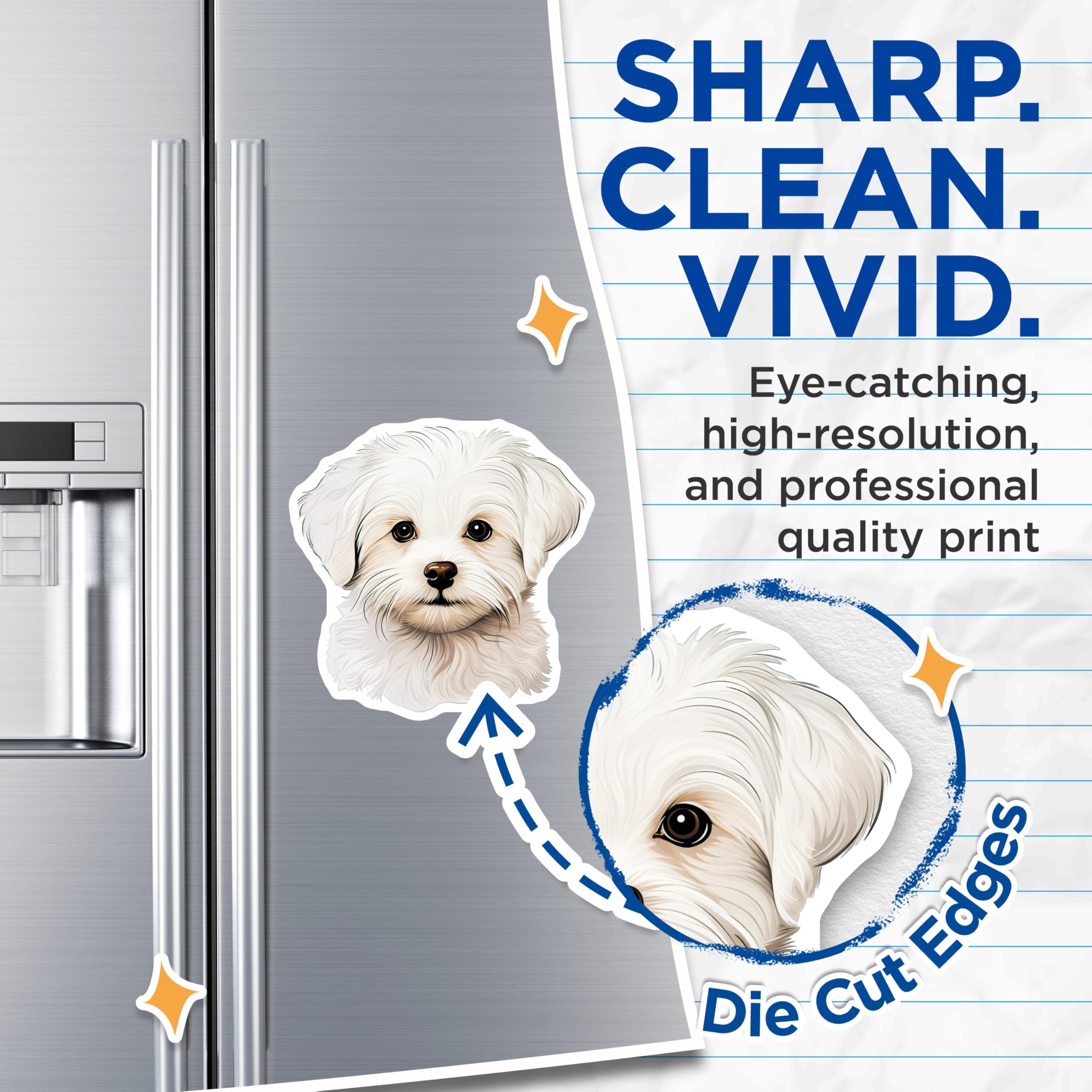 (2 Pack) Cute White Puppy Magnets - Maltese Dog Lover - Pet Owner Refrigerator Decor - 5 Inches On Longest Side - Thick Durable Magnet - Made in USA - MAG27419