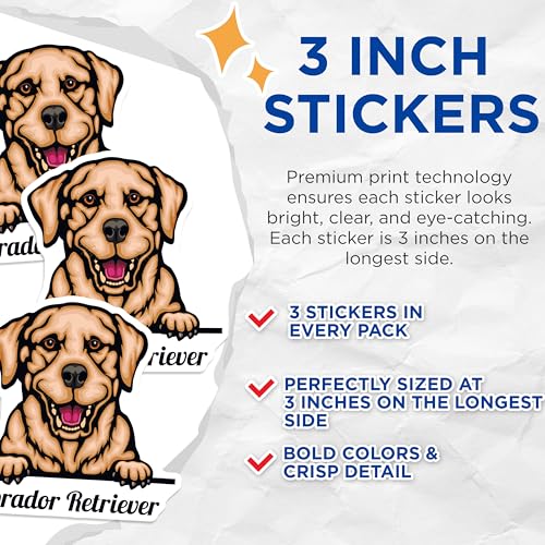 (3 Pack) Labrador Decals - Dog Breed Sticker - Puppy Decals - Cute Dog Stickers - 3 Inches On Longest Side - Easy Peel & Apply - Made in USA - 3MCS2986