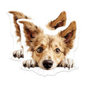 (2 Pack) Cute Dog Illustration Magnet - Fridge Decor - Animal Lover Accessories - 5" On Longest Side - Sticks to Smooth Flat Surfaces - Made in USA - MAG10255