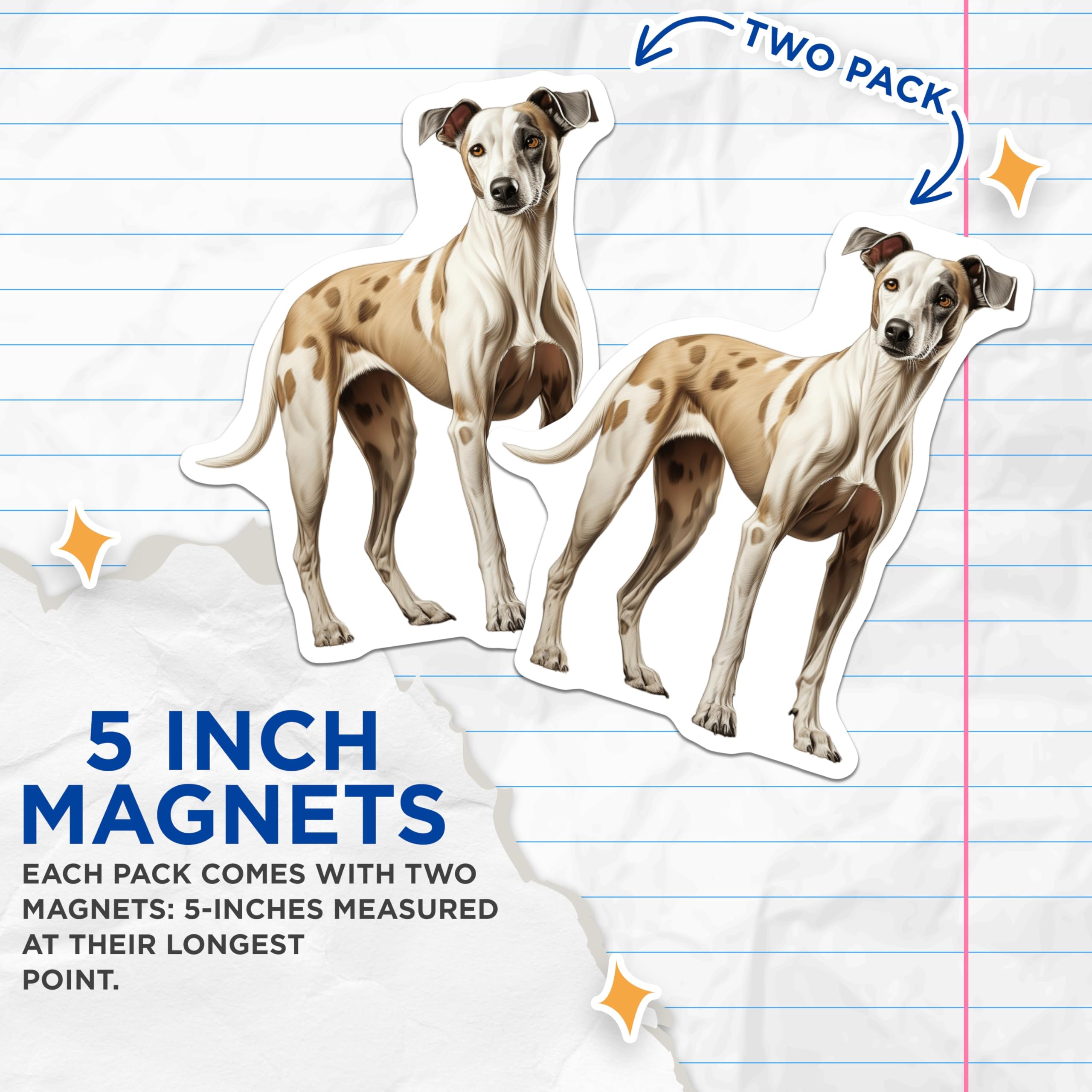 (2 Pack) Sighthound Dog Magnets - Greyhound Whippet Art - Pet Owner Refrigerator Decor - Dog Mom Dad Fridge Accent - 5 Inches On Longest Side - Thick Durable Magnet - Made in USA - MAG25061