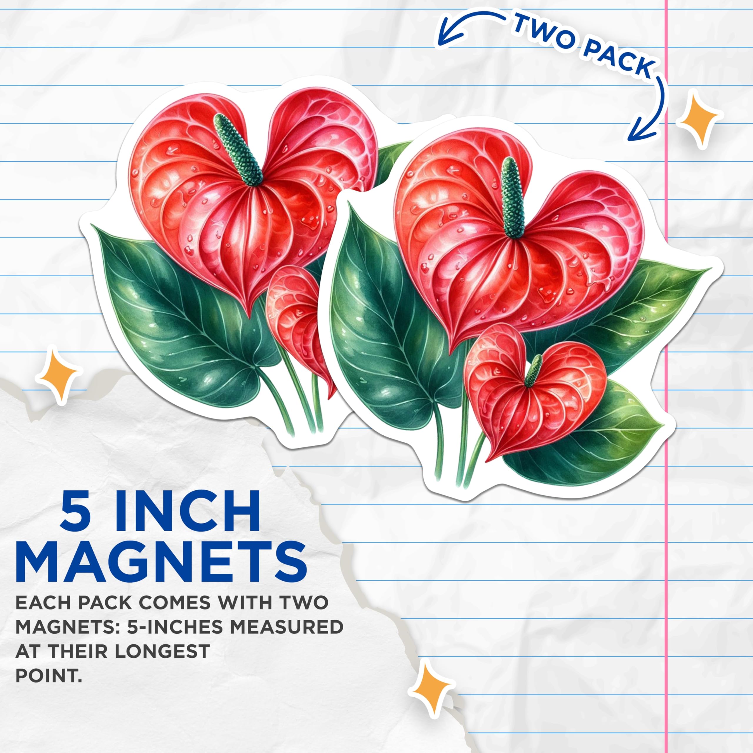 (2 Pack) Anthurium Magnets - Red Tropical Flower Art - Heart Shaped Bloom Decor - Botanical Refrigerator Accent - 5 Inches On Longest Side - Thick Durable Magnet - Made in USA - MAG20630