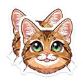 (2 Pack) Kawaii Cat Magnets - Cute Anime Kitten Face - Pet Lover Fridge Locker Decor - 5 Inches On Longest Side - Thick Durable Magnet - Made in USA - MAG38429