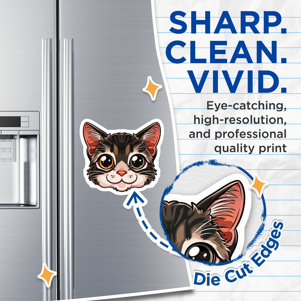 (2 Pack) Cute Cat Head Magnets - Kawaii Animal Fridge Decor - Pet Lover Locker Magnets - 5 Inches On Longest Side - Thick Durable Magnet - Made in USA - MAG37034