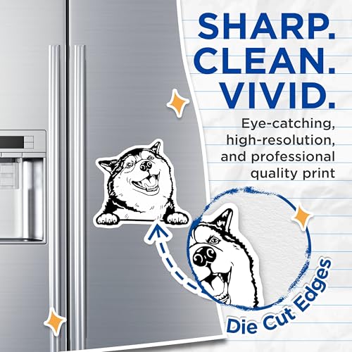 (2 Pack) Husky Dog Magnets - Cute Animal Car Accessories - Refrigerator Magnets - Animal Lovers - 5" On Longest Side - for Cars, Fridges, Toolboxes - Made in USA - MAG4037