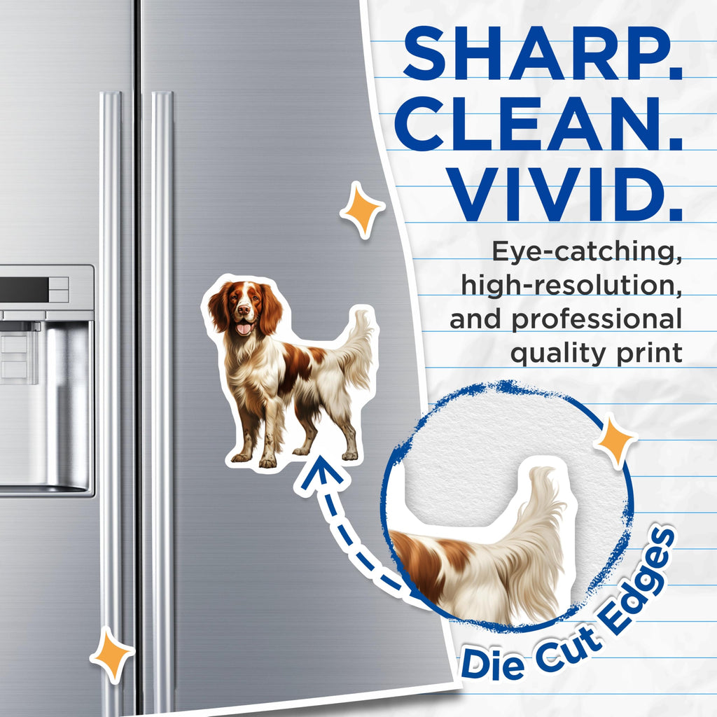 (2 Pack) English Springer Spaniel Magnets - Loyal Companion Dog Decor - Happy Brown White Pet Display - 5 Inches On Longest Side - Thick Durable Magnet - Made in USA - MAG23489