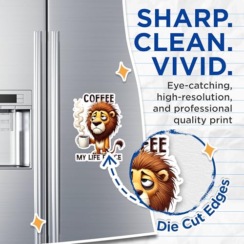 (2 Pack) Coffee My Life Force Magnet - Funny Lion Coffee Lover Magnet - Cute Animal Magnet for Office Fridge- 5" On Longest Side - for Fridges, Toolboxes, Cars - Made in USA - MAG2777