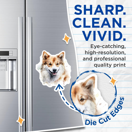 (2 Pack) Akita Inu Magnets - Smiling Pet Watercolor Art - Happy Animal Refrigerator Decor - 5 Inches On Longest Side - Thick Durable Magnet - Made in USA - MAG28500