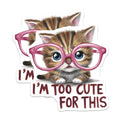 (2 Pack) I'm Too Cute for This Cat Stickers - Funny Cat Meme - Cute Animal Lover Decal - 5" On Longest Side - Sticks to Smooth Flat Surfaces - Made in USA - BMCS8911