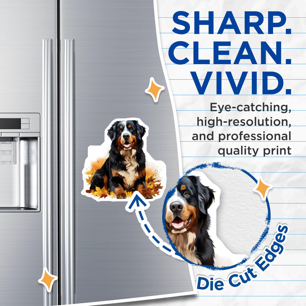 (2 Pack) Bernese Mountain Dog Magnets - Dog Lover Decor - Autumn Fall Fridge Magnet - 5 Inches On Longest Side - Thick Durable Magnet - Made in USA - MAG26374