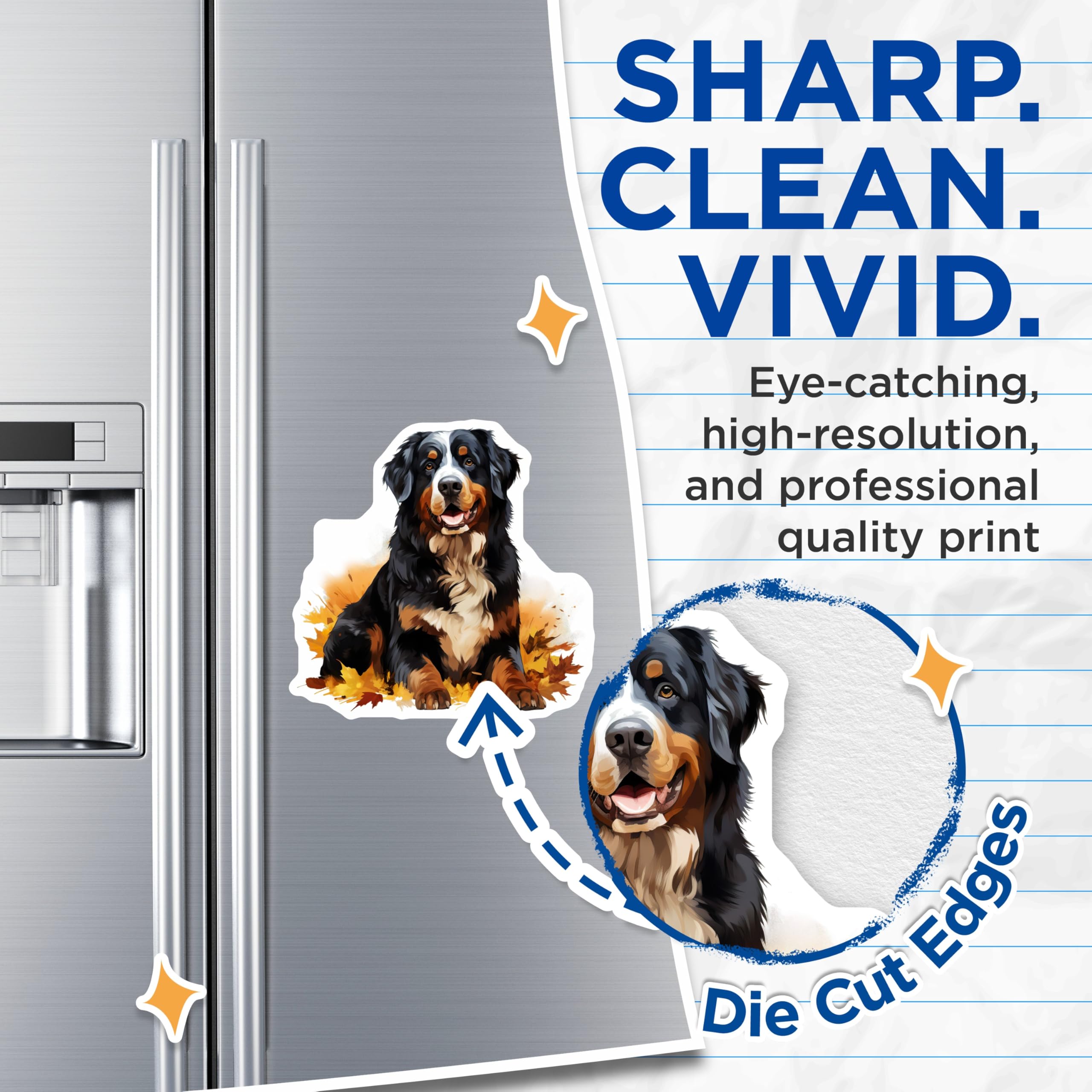 (2 Pack) Bernese Mountain Dog Magnets - Dog Lover Decor - Autumn Fall Fridge Magnet - 5 Inches On Longest Side - Thick Durable Magnet - Made in USA - MAG26374