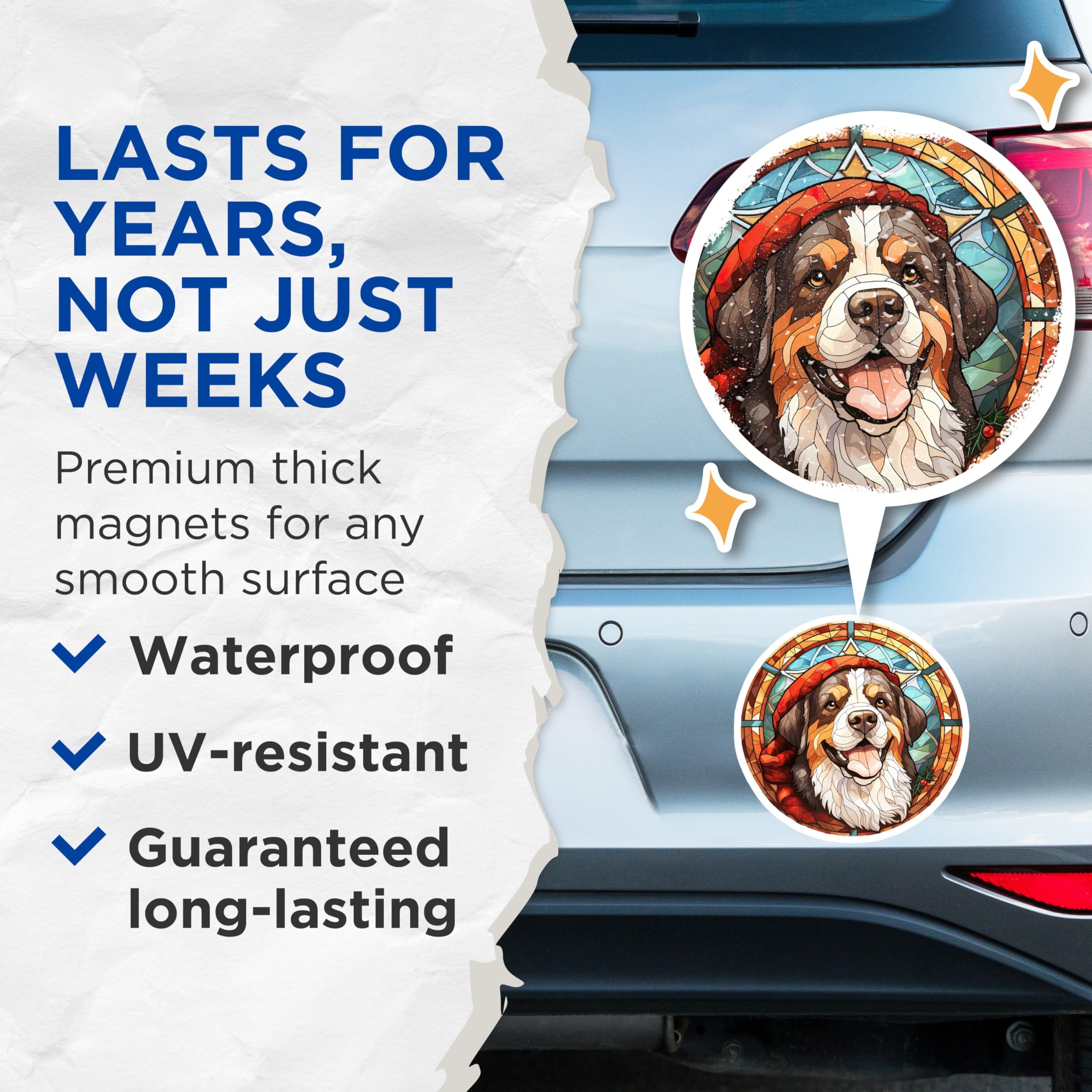 (2 Pack) Bernese Mountain Dog Magnets - Stained Glass Berner Art - Winter Holiday Dog Decor - Christmas Animal Accent - 5 Inches On Longest Side - Thick Durable Magnet - Made in USA - MAG23908