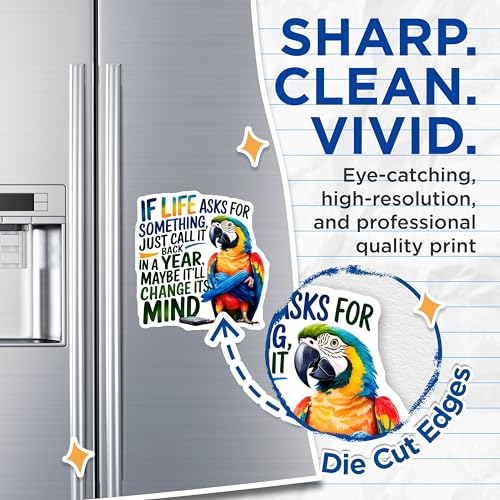(2 Pack) Funny Quote Parrot Magnets Magnets - Humorous Fridge Magnet - Motivational Parrot Fridge Magnet - 5" On Longest Side - Made in USA - Sticks to Refrigerators & Metal Surfaces - MAG8757