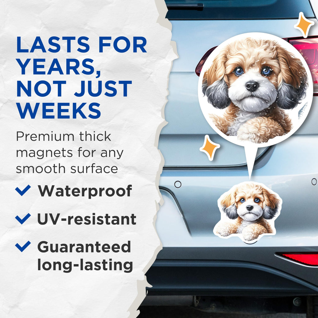 (2 Pack) Cavapoo Magnets - Dog Breed Magnet - Cute Animal Refrigerator Magnets - 5" On Longest Side - Premium Magnet - for Cars, Refrigerators, Toolboxes, Lockers - Made in USA - MAG14709