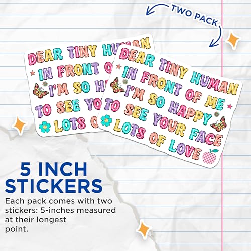 (2 Pack) Dear Tiny Human Stickers - Happy Face Message - Colorful Cute Sticker - 5" On Longest Side - Sticks to Smooth Flat Surfaces - Made in USA - BMCS9122
