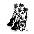 (2 Pack) Border Collie Dog Magnets - Pet Lover Decor - Animal Art - 5 Inches On Longest Side - Thick Durable Magnet - Made in USA - MAG36079