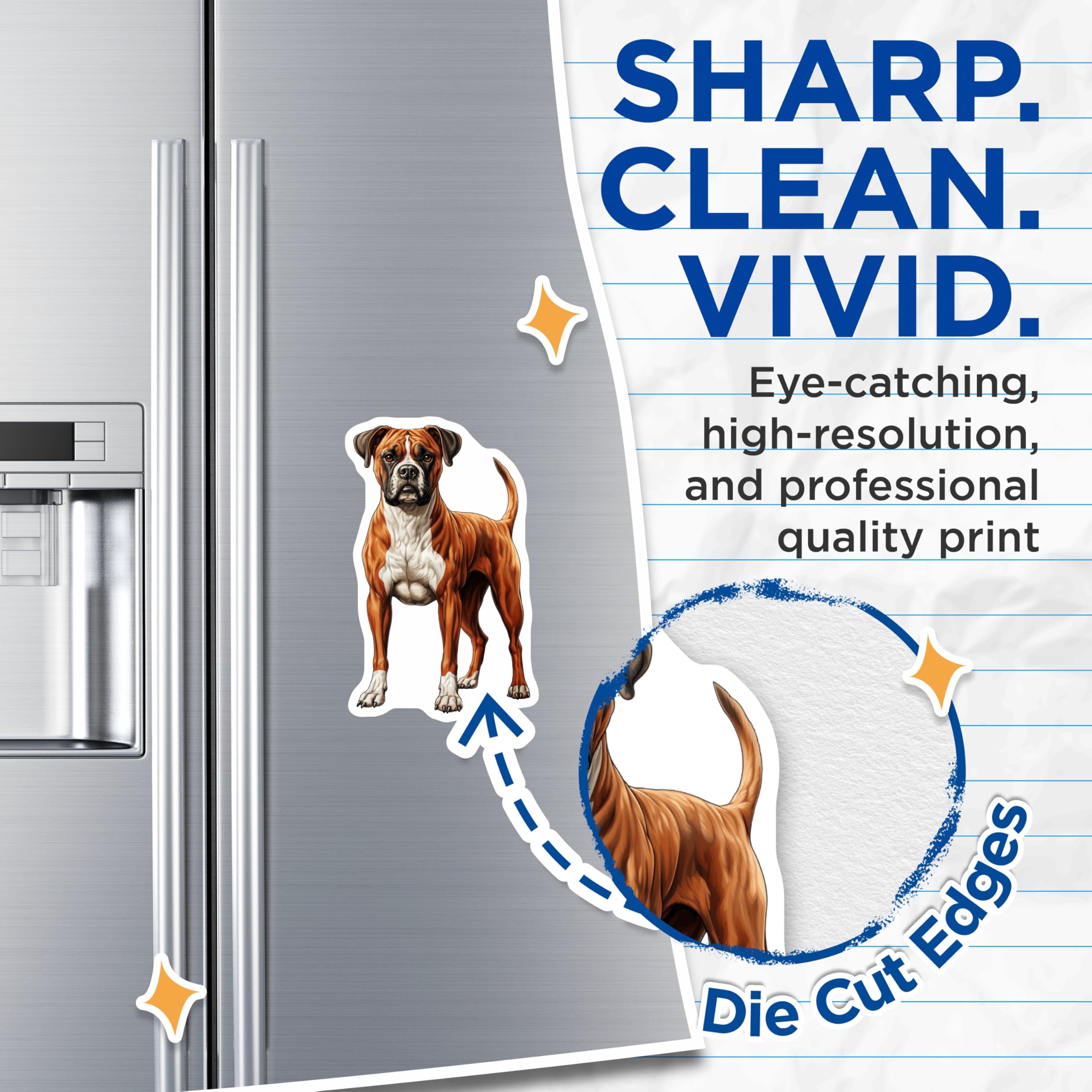 (2 Pack) Boxer Dog Magnets - Lifelike Brindle Fawn Canine Artwork - Pet Owner Refrigerator Locker Decor Accent - 5 Inches On Longest Side - Thick Durable Magnet - Made in USA - MAG24957