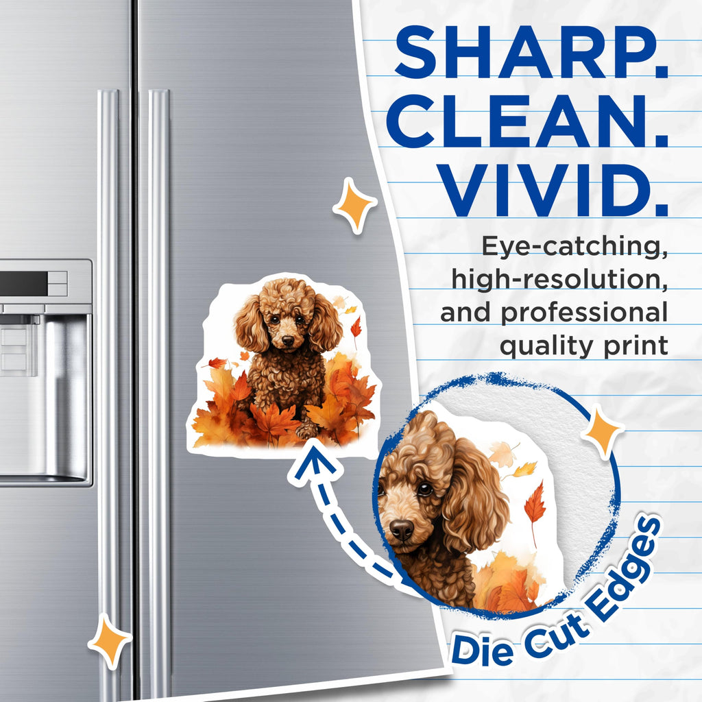 (2 Pack) Autumn Poodle Magnets - Fall Dog Decor - Cute Pet Owner Fridge Accessory for Animal Lovers - 5 Inches On Longest Side - Thick Durable Magnet - Made in USA - MAG27452