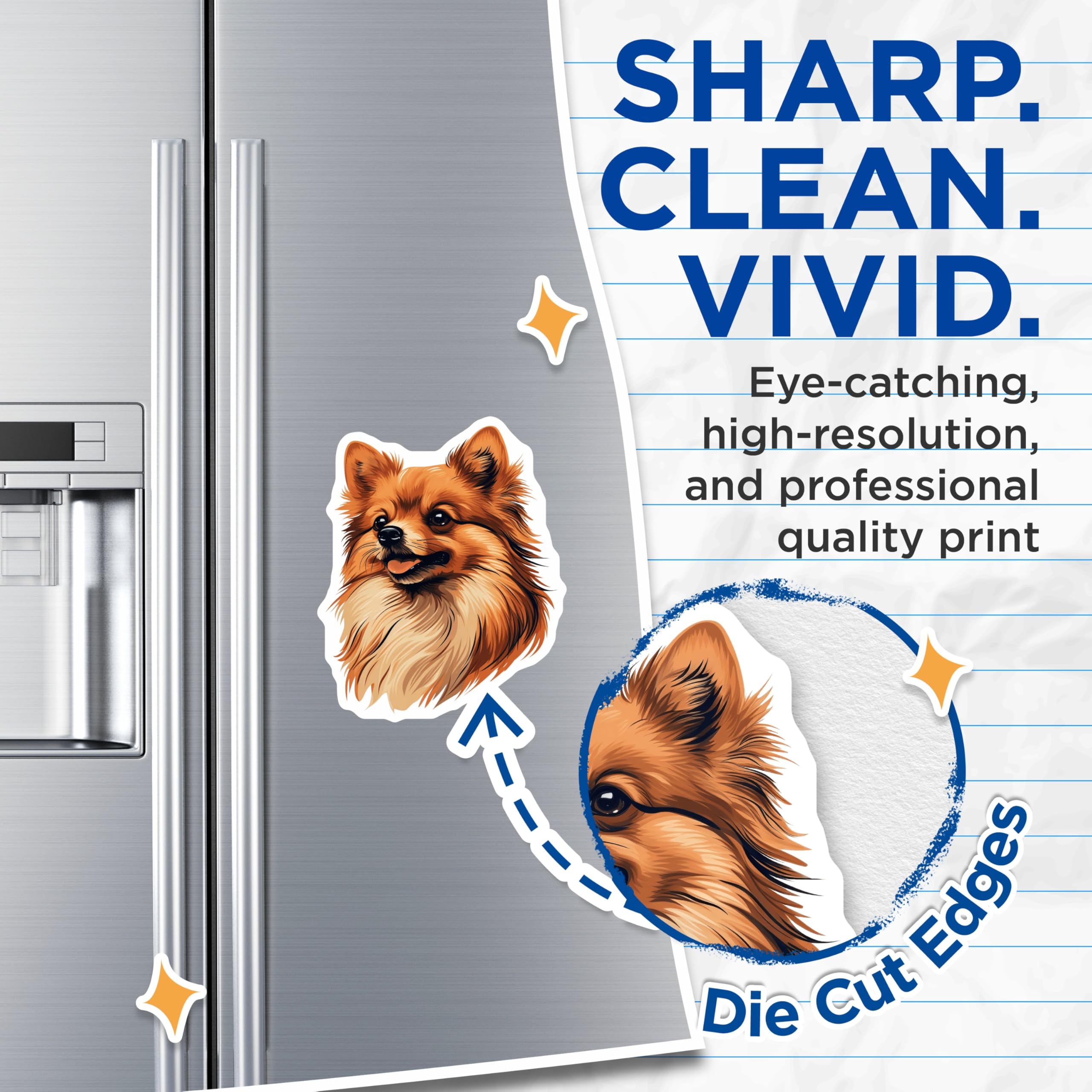 (2 Pack) Pomeranian Dog Magnets - Cute Pomeranian Decor - Pet Lover Accessories - 5 Inches On Longest Side - Thick Durable Magnet - Made in USA - MAG25869