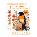(2 Pack) Baltimore Oriole Magnets - Maryland State Bird - Floral Art Decor - 5" On Longest Side - Premium Magnet - for Cars, Refrigerators, Toolboxes, Lockers - Made in USA - MAG18157