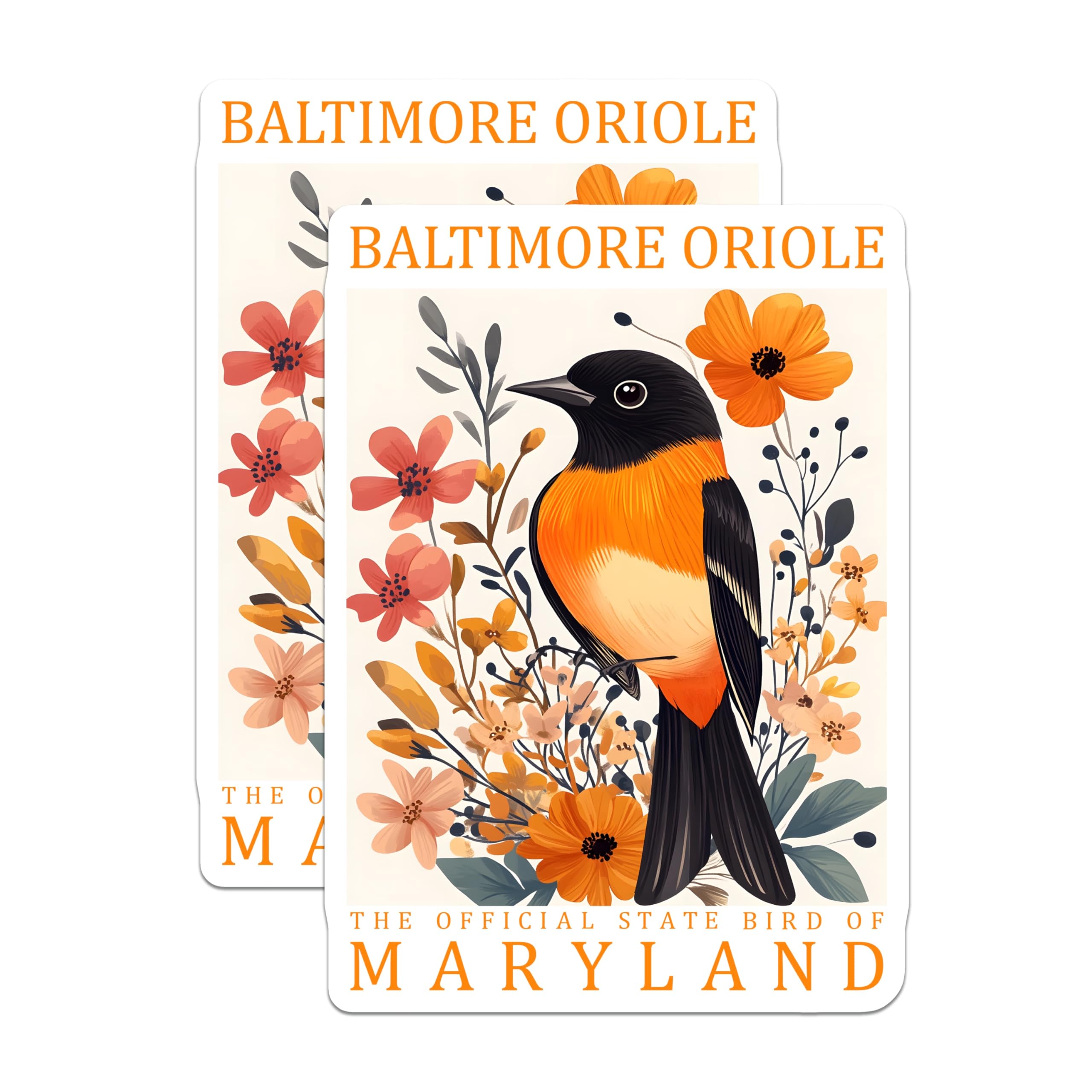 (2 Pack) Baltimore Oriole Magnets - Maryland State Bird - Floral Art Decor - 5" On Longest Side - Premium Magnet - for Cars, Refrigerators, Toolboxes, Lockers - Made in USA - MAG18157